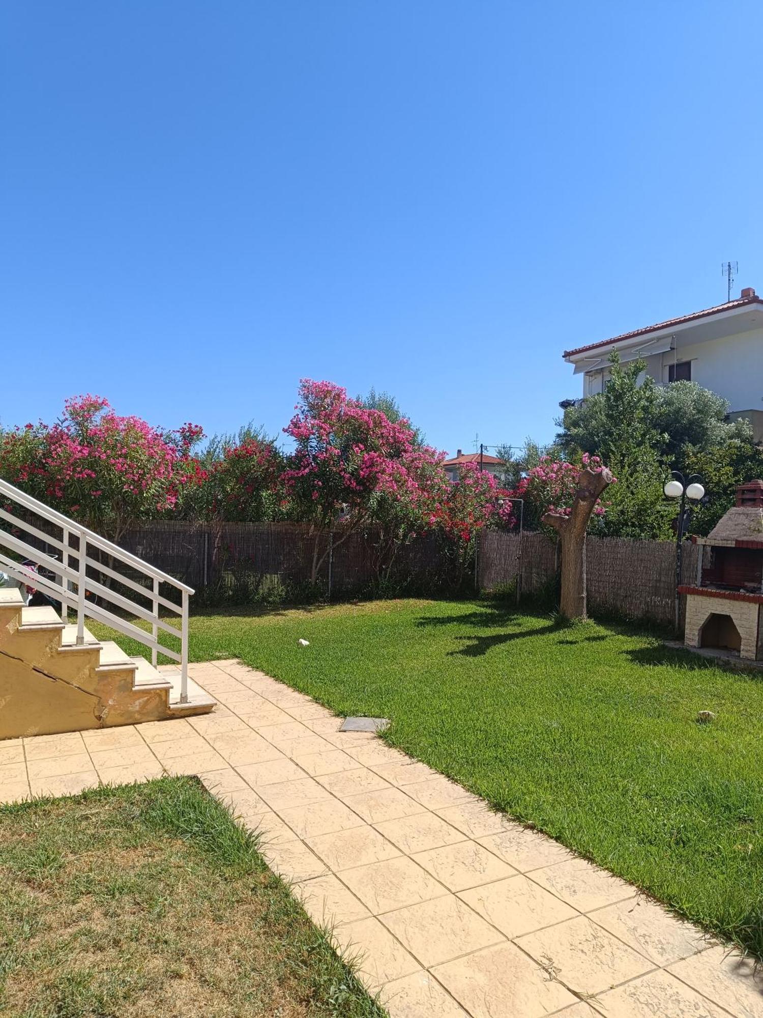Dimar1 Seaside Apartment Paralia Dionysiou Dış mekan fotoğraf