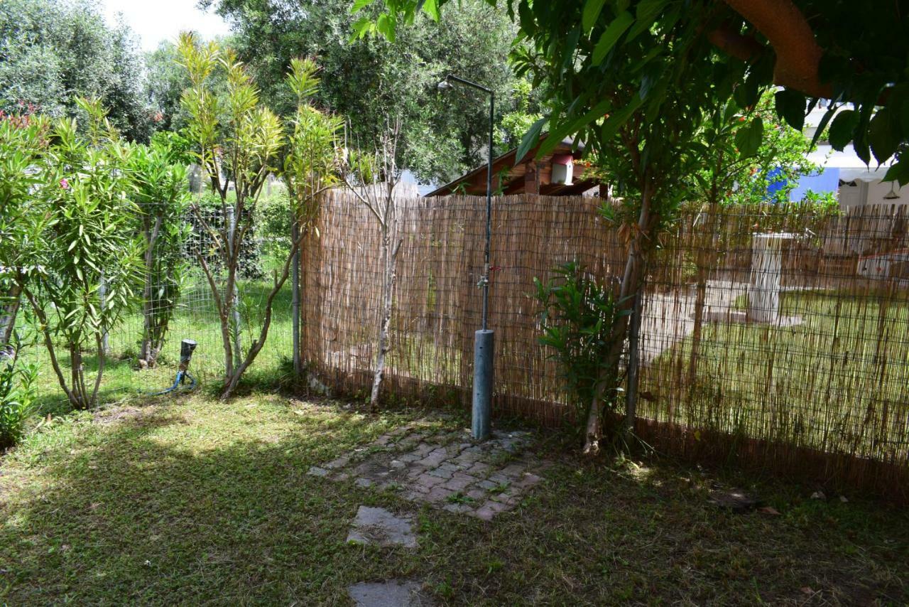 Dimar1 Seaside Apartment Paralia Dionysiou Dış mekan fotoğraf